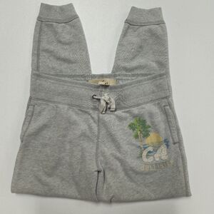 Hollister Gray Sweatpant Joggers Size S